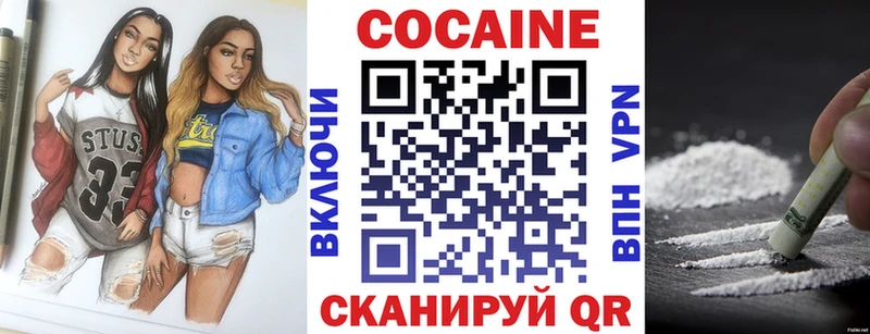Кокаин Fish Scale  где купить наркоту  MEGA зеркало  Елизово 
