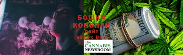 сатива Мегион