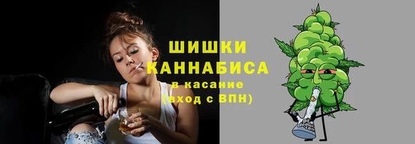 сатива Мегион