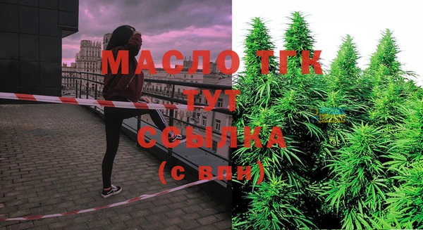 apvp Медногорск