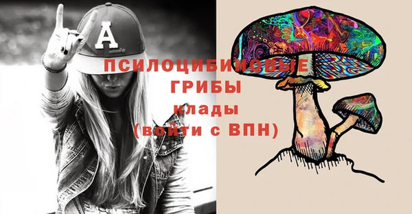 сатива Мегион