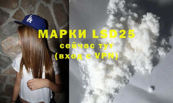 молекула духа Медвежьегорск