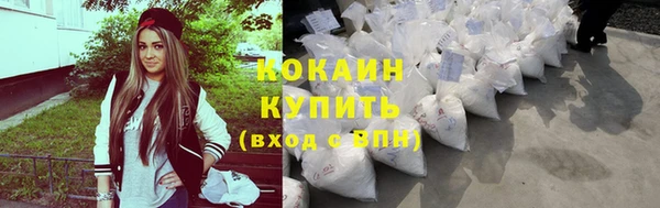 сатива Мегион