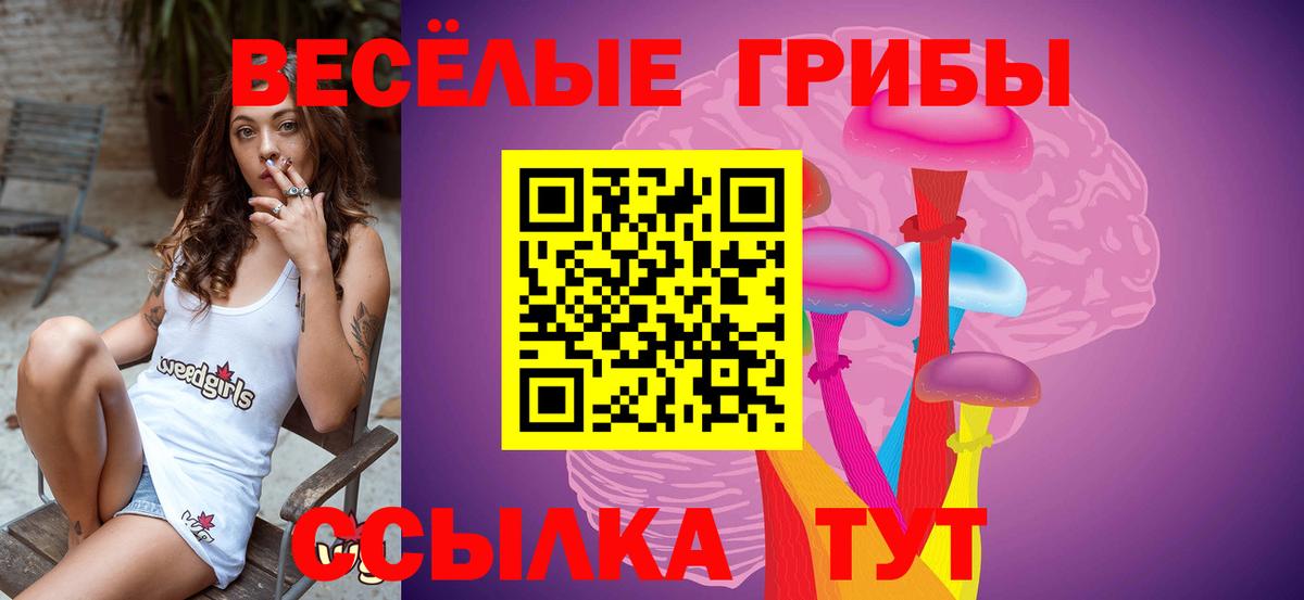 Псилоцибиновые грибы GOLDEN TEACHER Елизово
