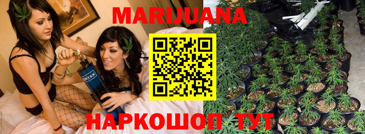 Бошки марихуана гибрид Елизово