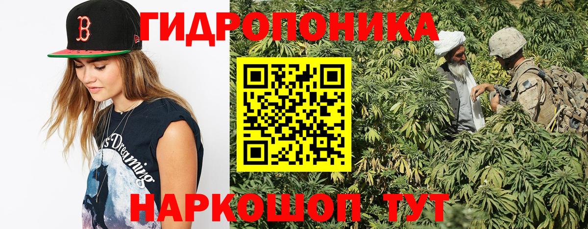 МАРИХУАНА сатива  Вход с VPN  Елизово  МАРИХУАНА THC 21% 